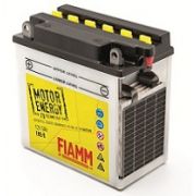 FIAMM 12V Flooded